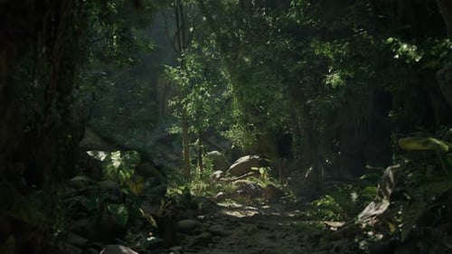 A Scenic Dirt Road Winding Through the Lush Forests of New Zealand