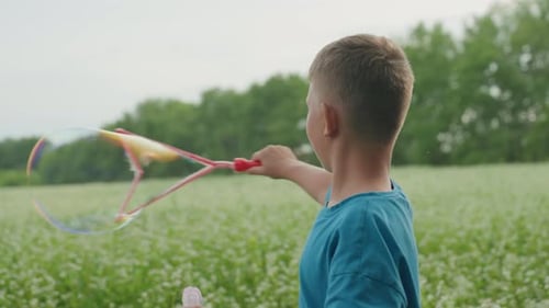 Childhood Bubble Joy Happy Child in Field Playing with Giant Soap Bubbles Young Boy in Bright