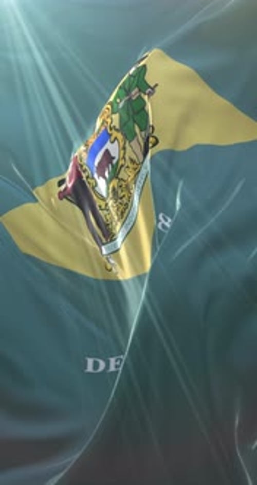 Delaware Flag