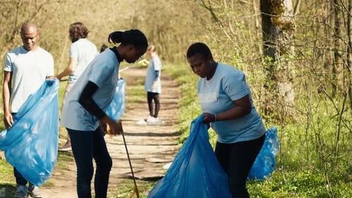 Volunteers Cleaning Up Trash in Forest on Sunny Day