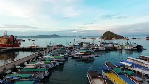 Exploring The Busy Harbor Filled With Fishing Boats Near Scenic Tropical Coastal Mountains