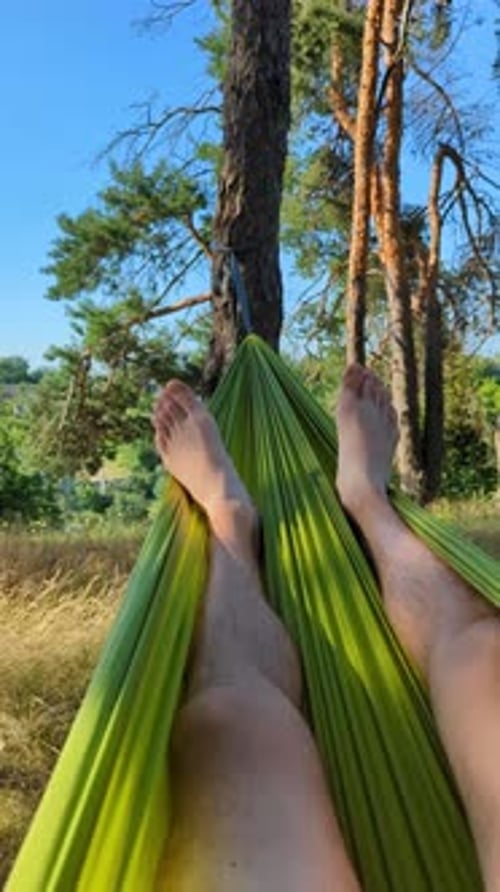 Hammock In The Forest