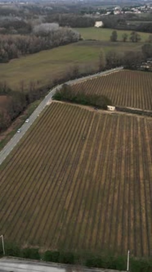 Panoramic Aerial Shot Drone of the Vineyards the Camping Road and the Crop Fields a Cloudy Day