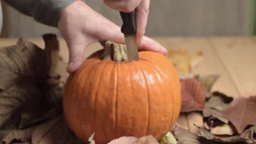 Carving Pumpkin with Knife Surrounded by Fall Leaves