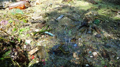 A Lot of Trash is Dumped in Open and Freely Available Places at Nature Dirty River is Polluted with