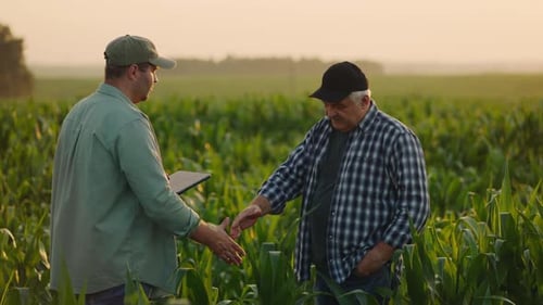 Senior Farmer And Adult Professional Agronomist Shaking Hands On Field Teamwork In Agribusiness