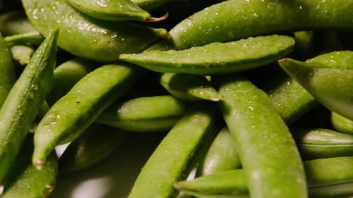 Fresh Green Sugar Snap Peas Rotating