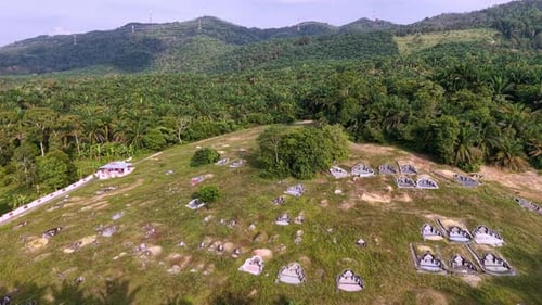 Aerial drone view of oil palm plantation and hillside graves