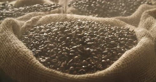 Fresh roasted coffee beans falling into linen sack in slow motion. Medium close up of coffee beans d