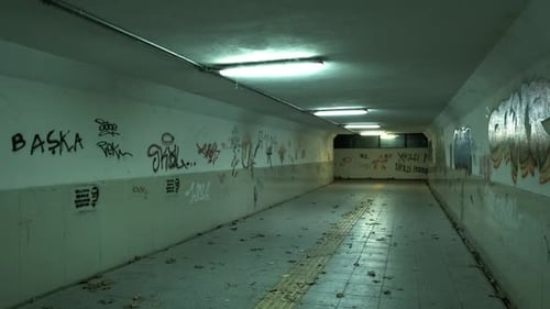 It's an abandoned underpass with graffiti and sometimes people pass through it.
