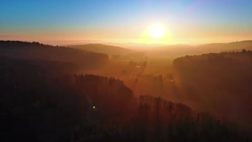 Silhouettes of Coniferous Trees in a Forest in Hilly Valley Against the Background of a Bright Sun