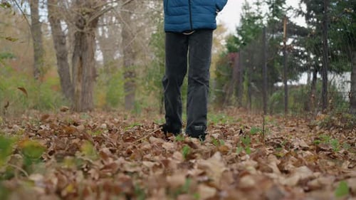 Child Scattering Dry Autumn Leaves on Forest Floor with Stick in Fall