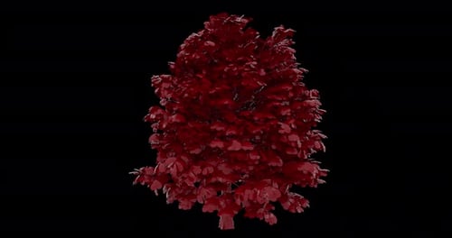 3d Hearts Tree Wind