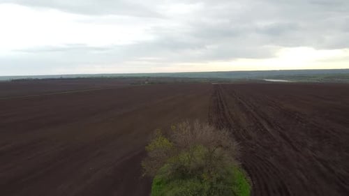 Blue tractor with yellow seeder working on the field in Ukraine OA