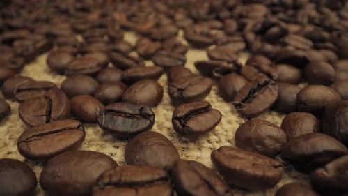CloseUp View of Roasted Coffee Beans on a Burlap Surface