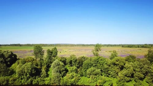 Der Fluss Kasplya, der Fluss Western Dwina und das Stadtdorf Surazh 01
