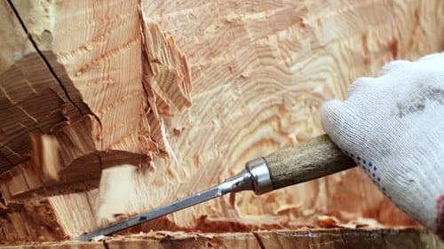 Hand Carving Wood with Sharp Chisel Close Up