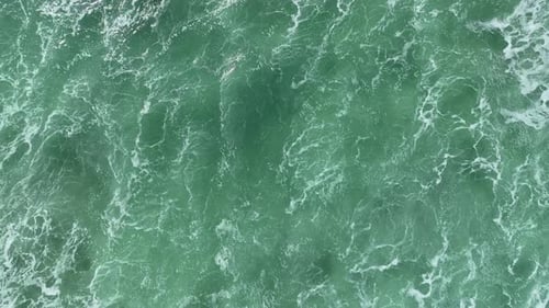 Sea Waves with Foam Near the Shore