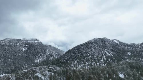 Amazing Views on Magical Snowy Fir Trees on Mountain Covered with Fresh Snow