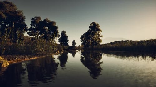 Crocodile se prélassant au bord d'une rivière tranquille dans une végétation luxuriante au coucher du soleil