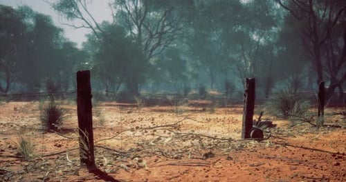 Vivid Landscape Captures the Essence of the Outback at Dawn in Australia