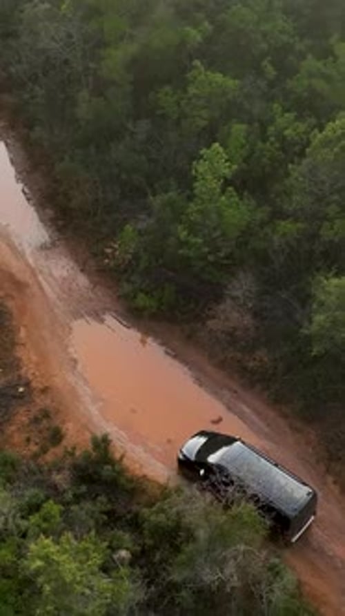Vertical Video Elevated Perspectives Luxurious Car Driving Through the Mysterious Green Forest