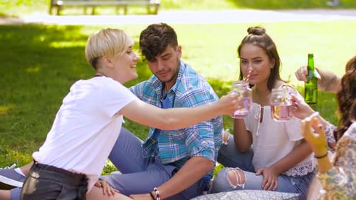 Happy young friends clinking drinks together at a summer picnic in the park