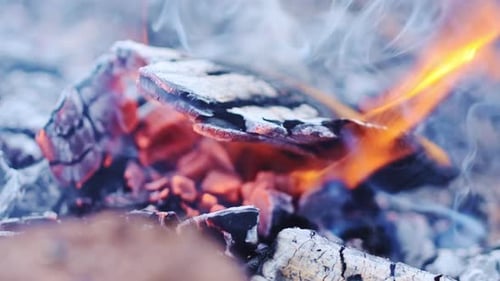 Glowing Campfire Embers - Capturing the Warmth and Serenity of Wilderness Nights