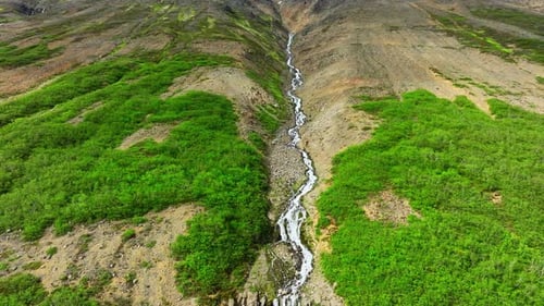 Many Waterfalls Surrounded By Green Bushes and Moss Mountain River Flows Down From Hill River in