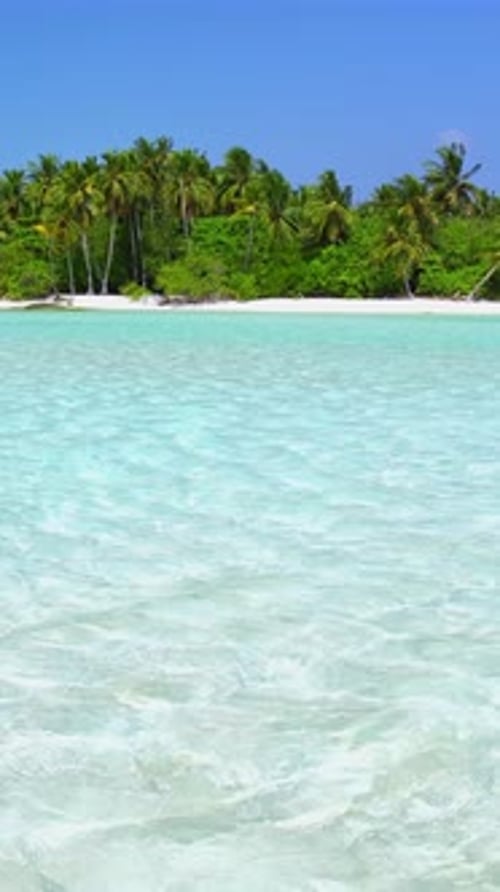 Tropical Island in Indian Ocean Wild and Uninhabited Coast with Palm Trees Travel Destinations