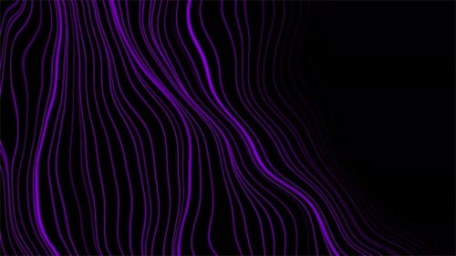 Abstract Purple Wavy Lines Animated Background
