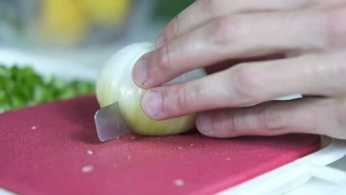 Chopping Julienne Onions