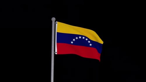 Realistic Waving Venezuela Flag on Pole Loop