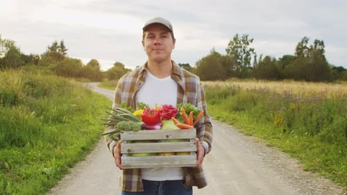 Granjero con una caja de verduras, hombre caminando por un campo, vida en el campo, producción de alimentos, agricultura