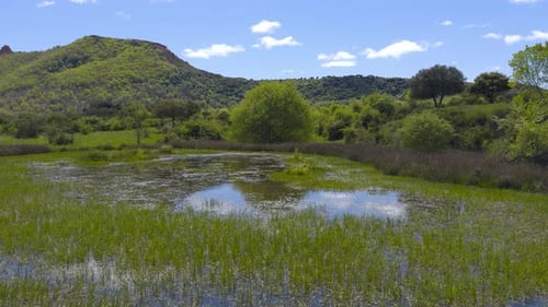 Natural Pond In The Mountains Surrounded By Green Vegetation And Trees