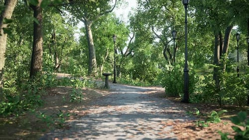 Walking Street With Natural View In Public Park