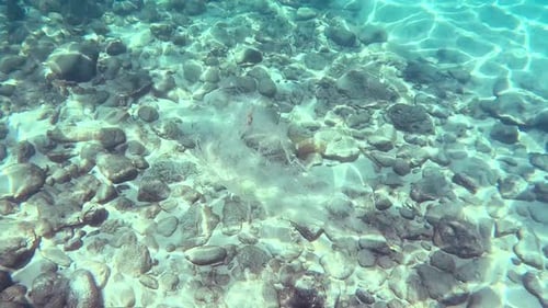 Plastic Bag Underwater Bad for Fish with Sun Rays Water Waves Hit to Rocks Background Ocean
