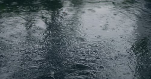 Drops of Summer Torrential Drizzling Rain are Deposited on the Asphalt of the Urban Landscape