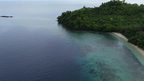 aerial view of the coastline filled with coconut trees. Tropical island
