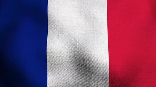 Seamless Looping French Flag Waving Animated Background