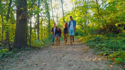 Group of four friends hiking together through a forest.
