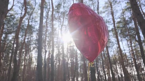 Red Heart Balloon Floating In Pine Forest With Bright Sun Flare Backlight