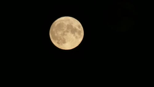 Full harvest orange waxing moon crater surface closeup passing across dark sky