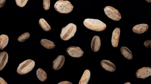 Endlessly Falling Brown Breads on Alpha
