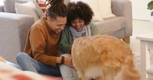 Casal sentado no tapete da sala de estar, estendendo a guloseima para cães e acariciando o golden retriever de brincadeira