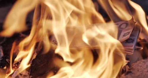 Euro Banknotes Burning in Intense Fire