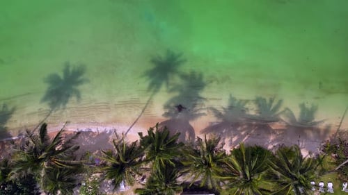 Tropical beach.