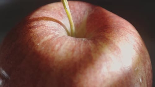 Red Apple Rotating With Sunlight Reflection. Extreme Closeup
