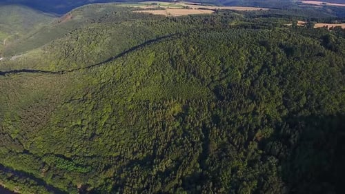 High flying drone aerial view of a forest overgrown hill bird eye