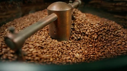 Coffee production, the process of roasting fresh coffee beans, coffee beans are mixed and cooled